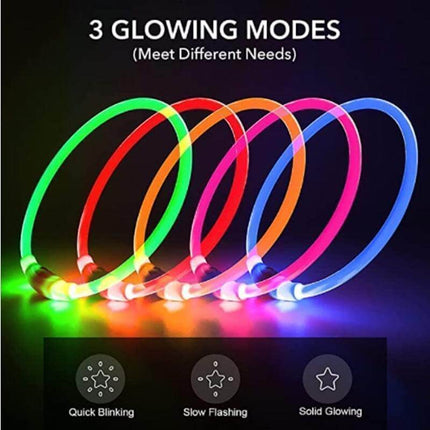 LED Lysande Hundhalsband - Stilfull Säkerhet för Din Pälsiga Vän!