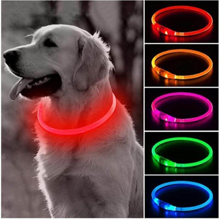 LED Lysande Hundhalsband - Stilfull Säkerhet för Din Pälsiga Vän!